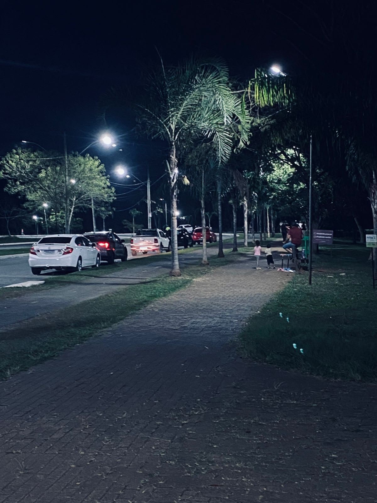 Pista do Parque Leolídio di Ramos Caiado